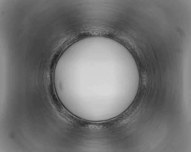 X0000111790690200907230949