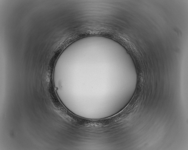 X0000111790691200907230949