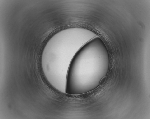 X0000111790693200907230949