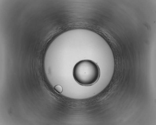 X0000111790696200907230949