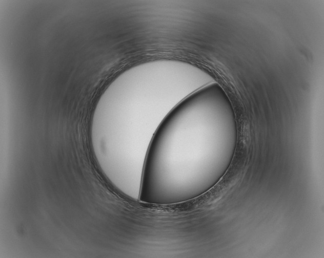 X0000111790697200907230949