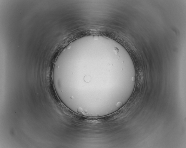 X0000111790698200907230949