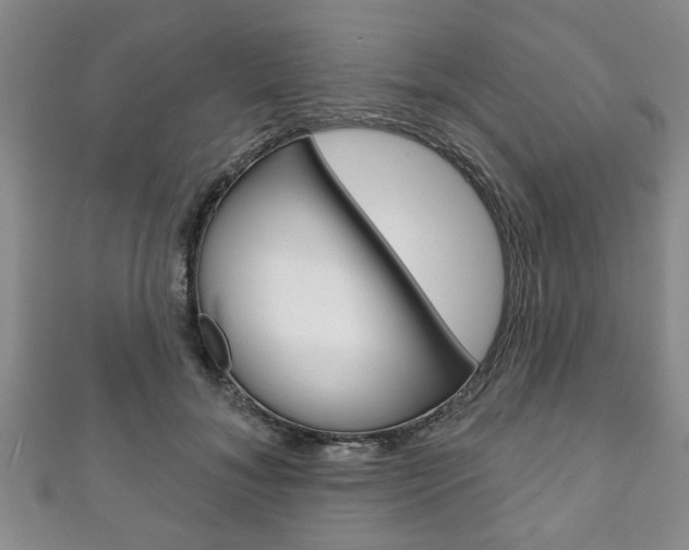 X0000111790700200907230949