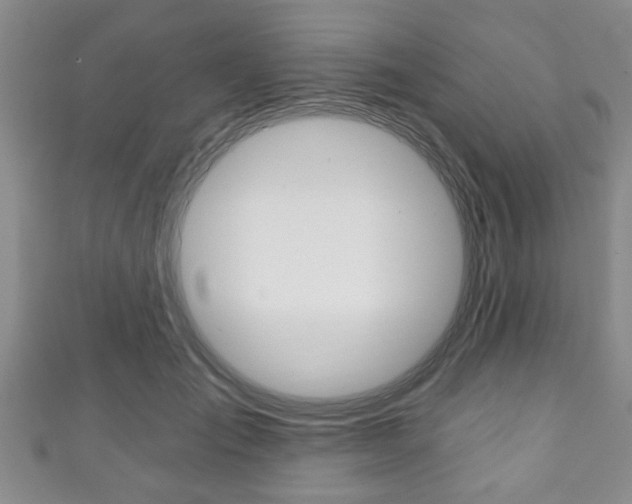 X0000111790701200907230949