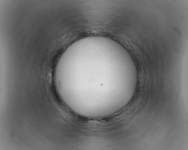 X0000111790703200907230949