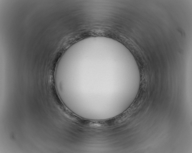 X0000111790706200907230949