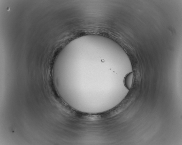X0000111790711200907230949