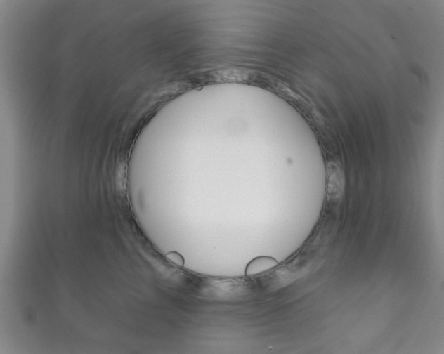 X0000111790713200907230949