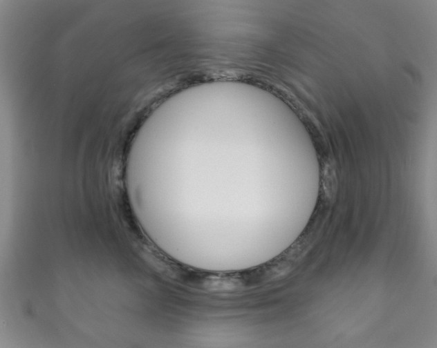 X0000111790714200907230949
