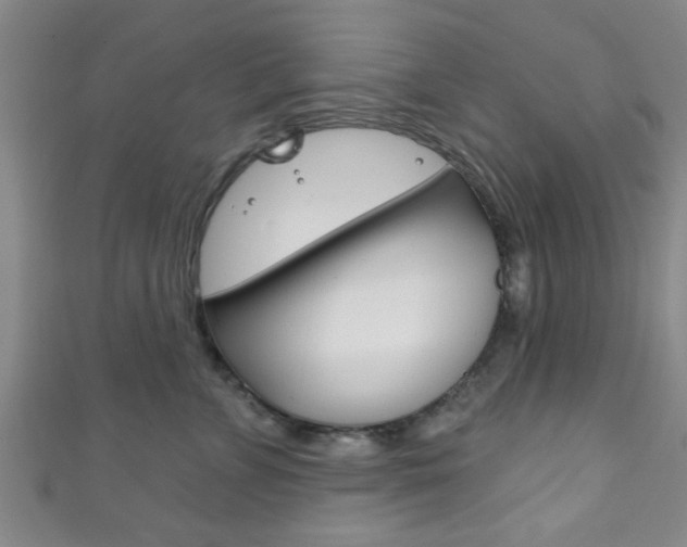 X0000111790715200907230949