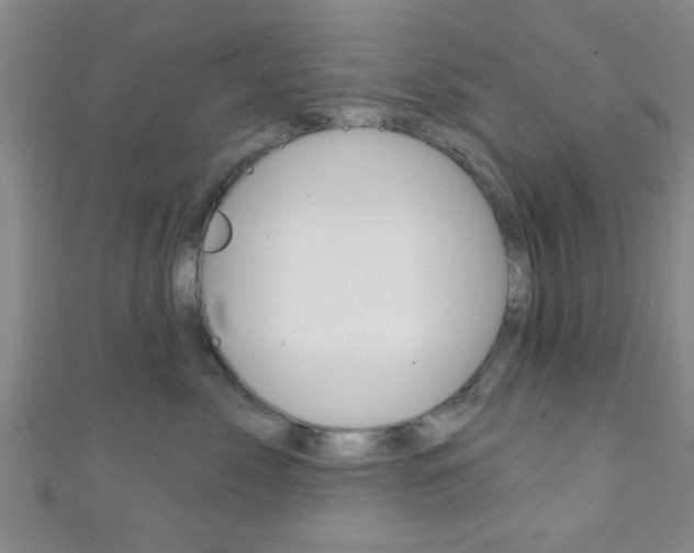 X0000111790717200907230949