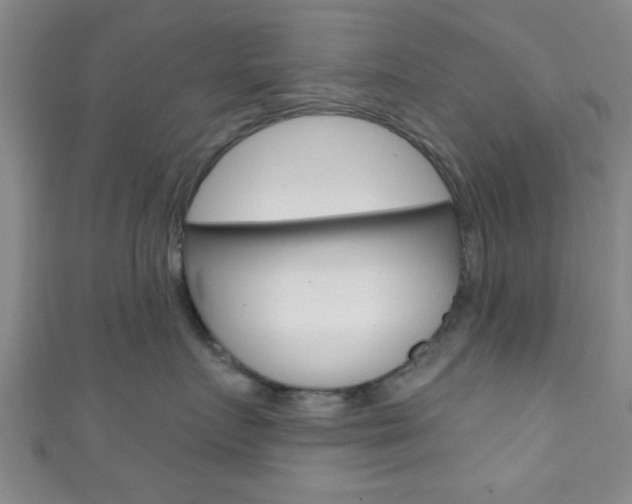 X0000111790719200907230949