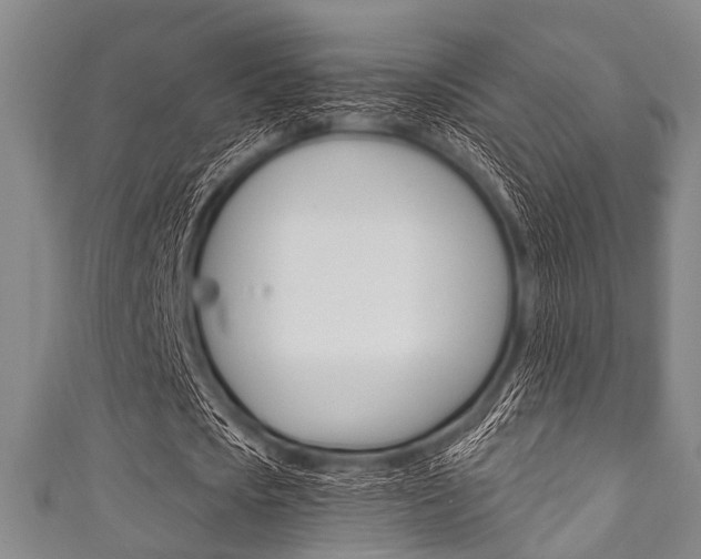 X0000111790721200907230948