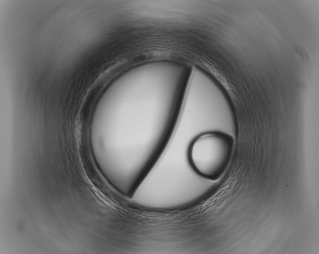 X0000111790722200907230948