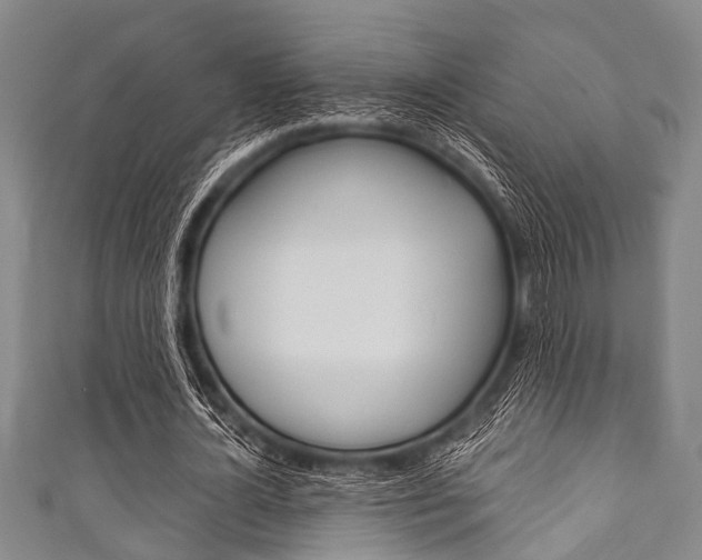X0000111790724200907230948