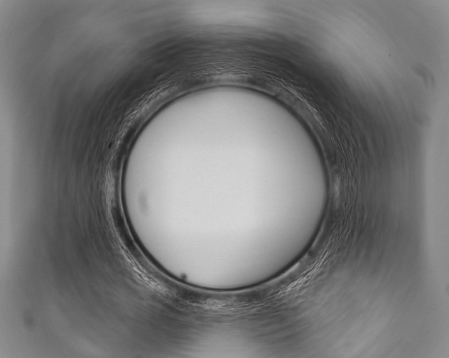 X0000111790725200907230948