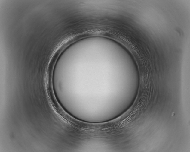 X0000111790726200907230948