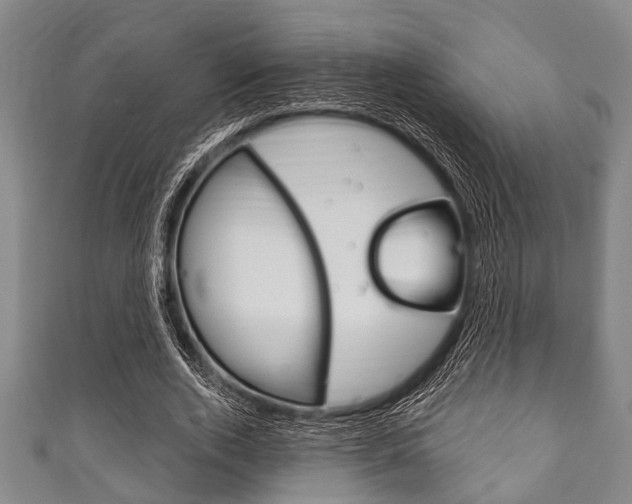 X0000111790728200907230948