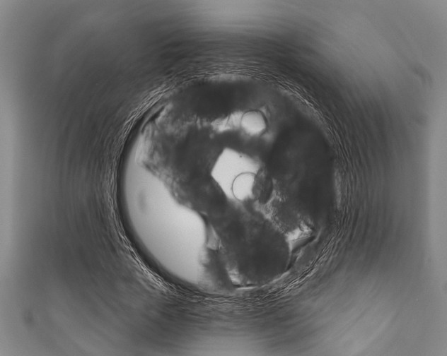 X0000111790729200907230948