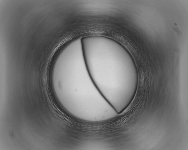 X0000111790731200907230948
