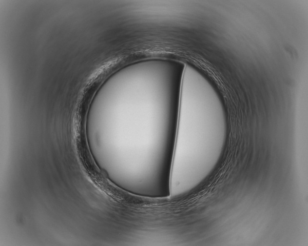X0000111790732200907230948