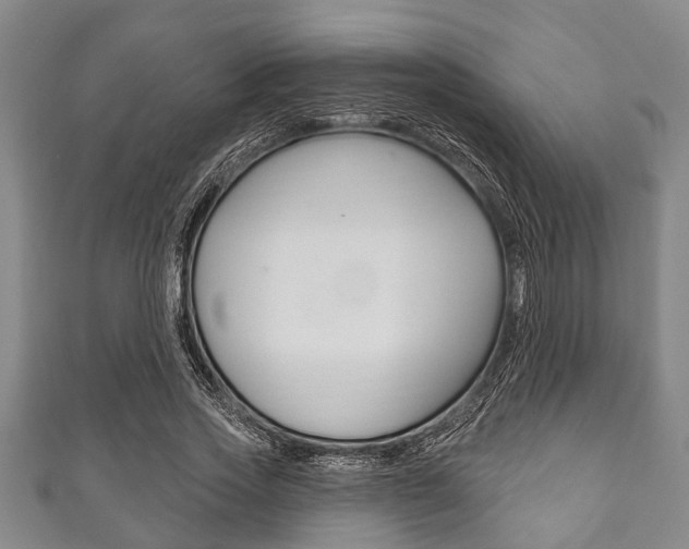 X0000111790733200907230948