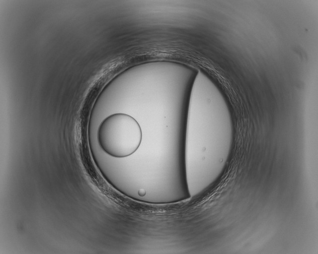 X0000111790734200907230948