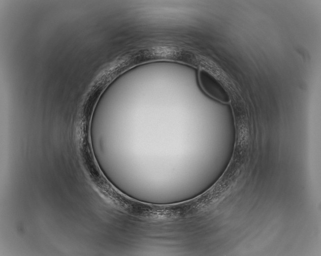 X0000111790736200907230948