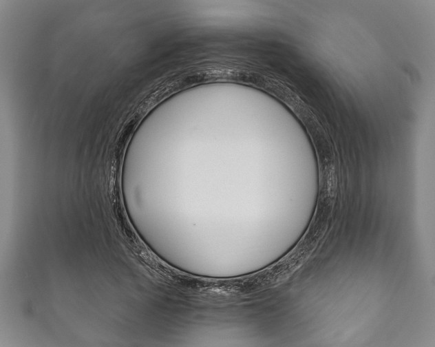 X0000111790737200907230948