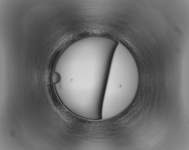 X0000111790738200907230948
