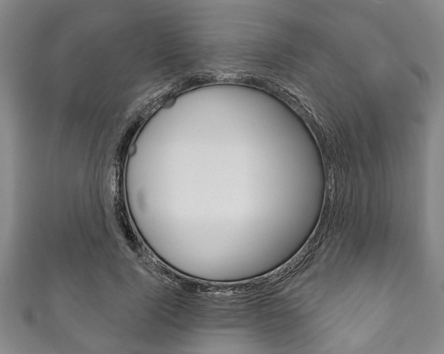 X0000111790740200907230948