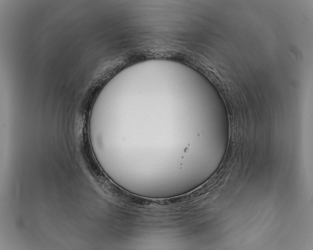 X0000111790742200907230948