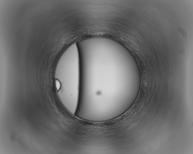 X0000111790743200907230948