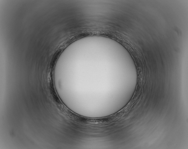 X0000111790746200907230948