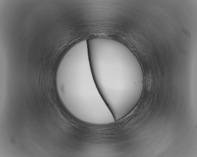 X0000111790747200907230948