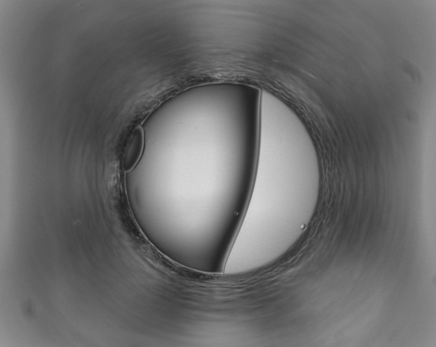 X0000111790748200907230948