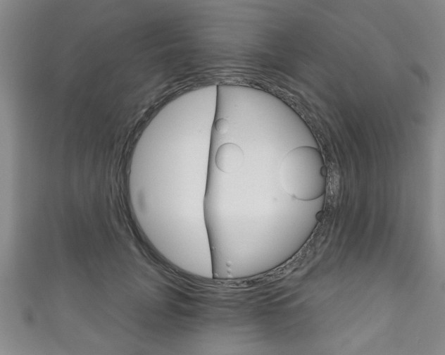 X0000111790751200907230948