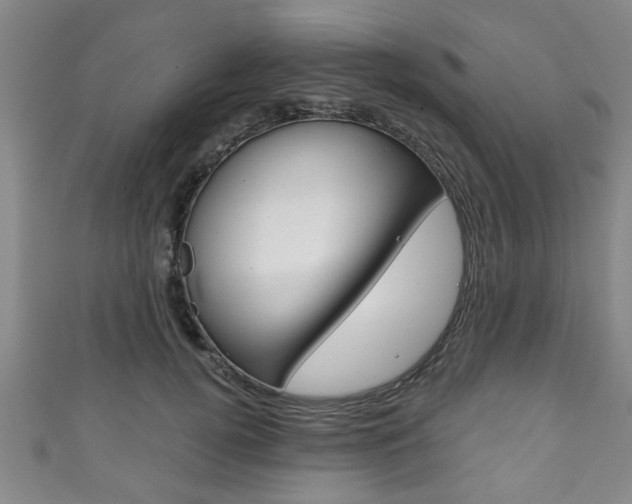 X0000111790752200907230948