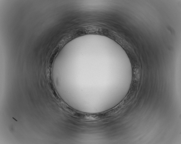X0000111790753200907230948
