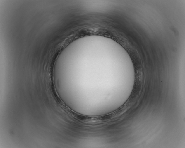 X0000111790754200907230948