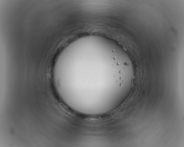 X0000111790756200907230949