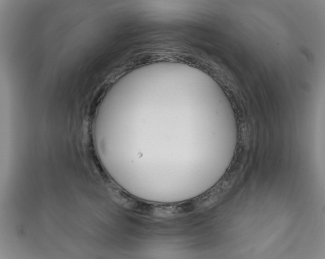 X0000111790757200907230949