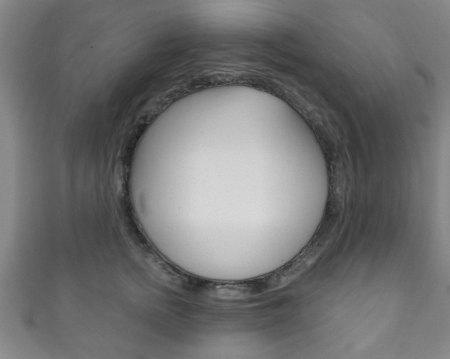 X0000111790758200907230949