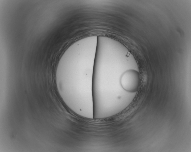 X0000111790759200907230949