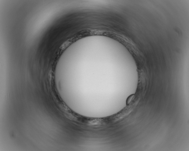 X0000111790761200907230949