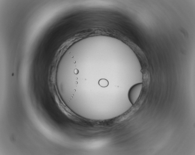 X0000111790765200907230949