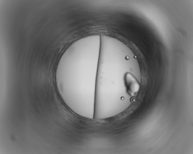 X0000111790767200907230949