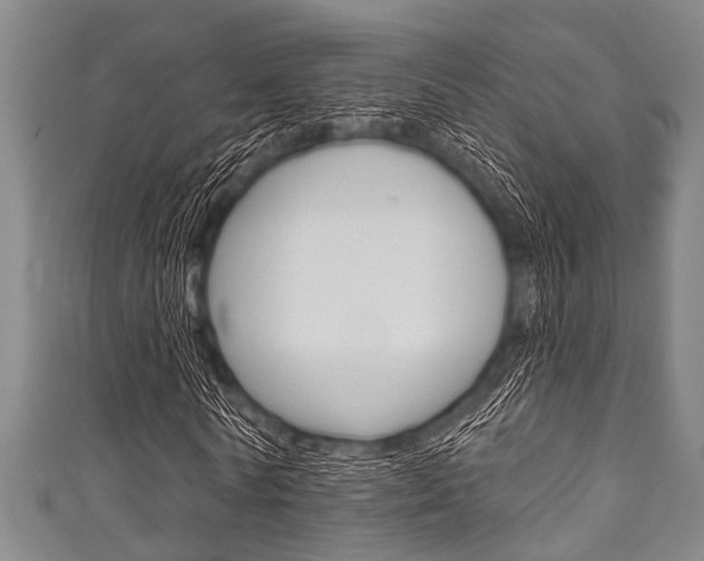 X0000111790770200907230948