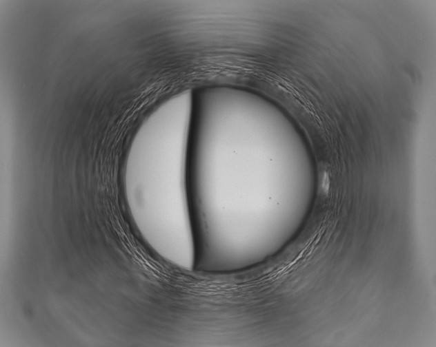 X0000111790771200907230948