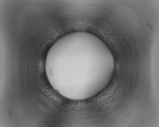 X0000111790772200907230948